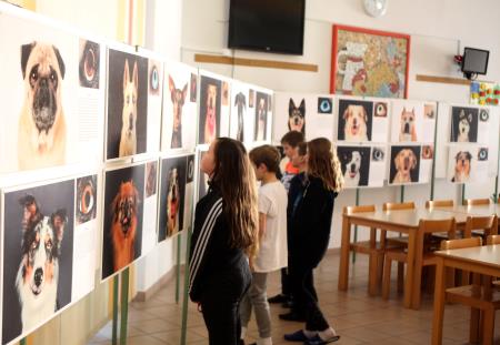 POGLEJ ME V OČI RAZSTAVA V OŠ RAKEK 06 FOTO LJUBO VUKELIČ